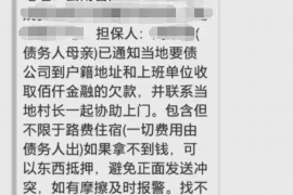 方城方城的要账公司在催收过程中的策略和技巧有哪些？