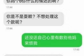 方城如何避免债务纠纷？专业追讨公司教您应对之策
